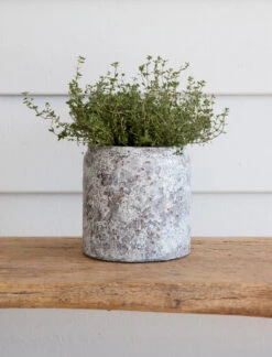 Withington Pot - 15.5cm