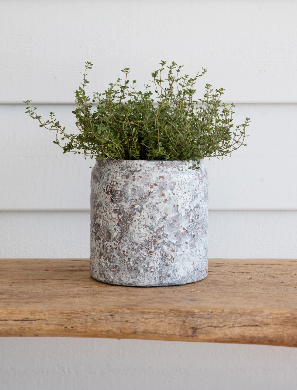 Withington Pot - 15.5cm 3 Withington Pot - 15.5cm