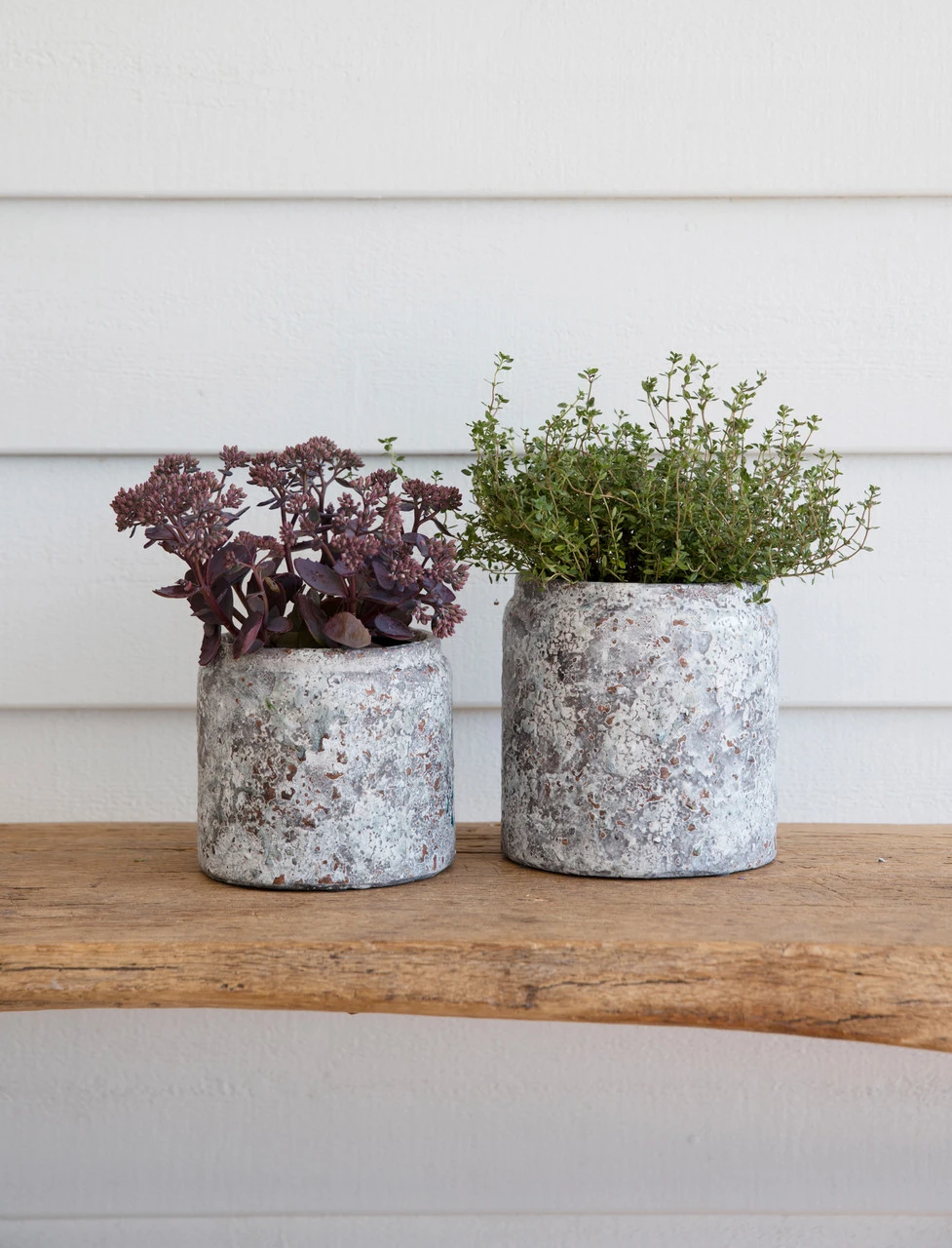 Withington Pot - 15.5cm 4 Withington Pot - 15.5cm - Image 2