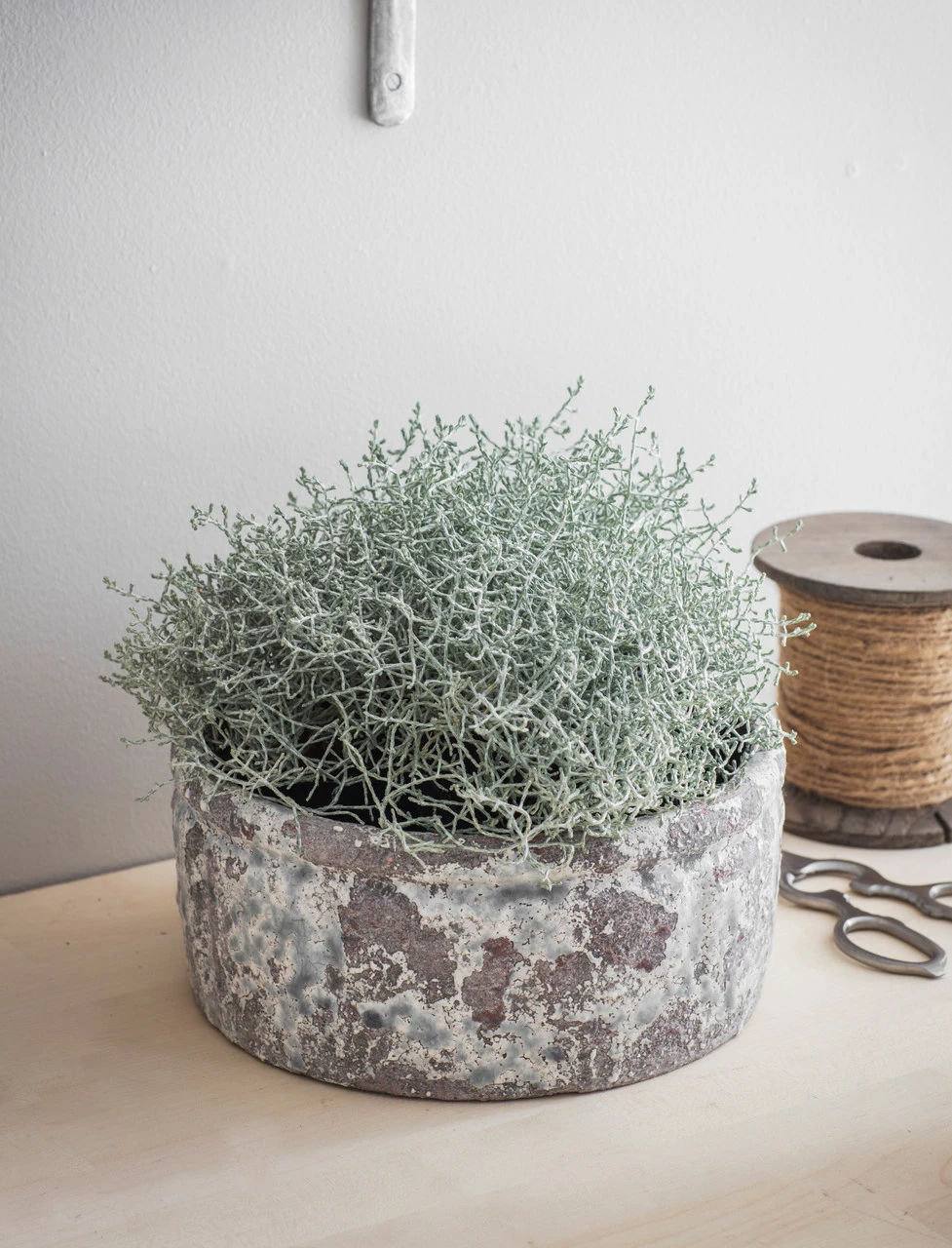 Withington Bowl - 24.5cm 3 Withington Bowl - 24.5cm