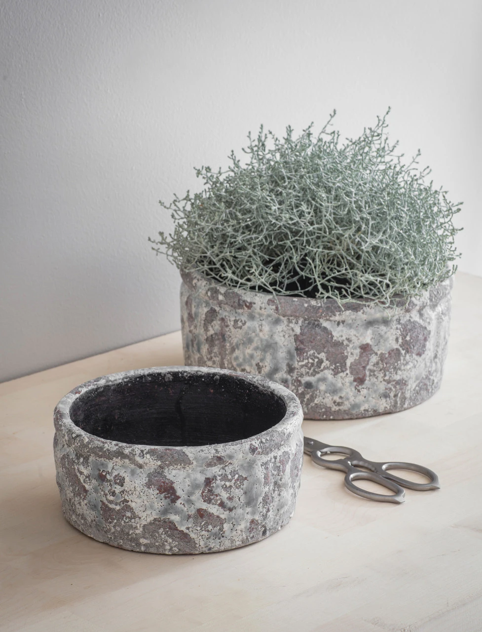 Withington Bowl - 24.5cm 4 Withington Bowl - 24.5cm - Image 2