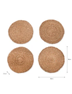 Set Of 4 Brading Placemats -Modern Living Shop PMSG01 portrait 9 51783.1638477822