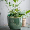 Positano Pot - Forest Green - 20cm -Modern Living Shop PTFT04 portrait 1 61717.1638478872