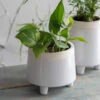 Sherston Pot - Short - 16cm