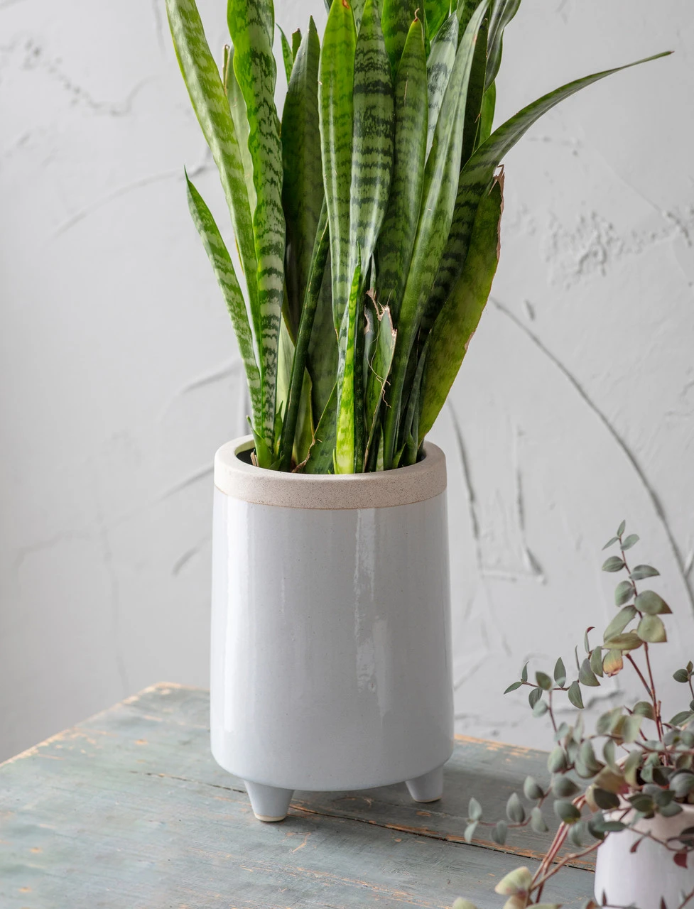 Sherston Pot - Tall - 18.5cm 3 Sherston Pot - Tall - 18.5cm