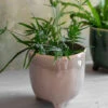 Positano Pot - Stone - 20cm -Modern Living Shop PTST06 portrait 1 67905.1638478973