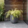 Rodborough Planter - 42cm 2 Rodborough Planter - 42cm -Modern Living Shop RBPL01L portrait 1 77335.1638479482