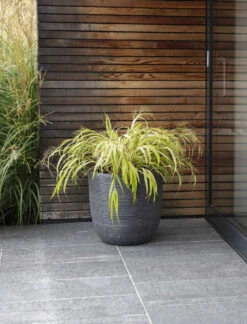 Rodborough Planter - 42cm