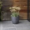 Rodborough Planter - 28cm -Modern Living Shop RBPL01S portrait 1 36207.1638479491