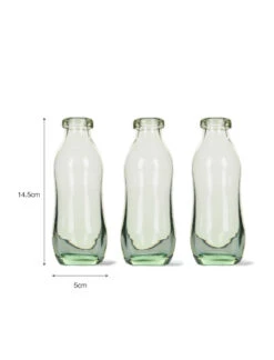 Set Of 3 Bottles -Modern Living Shop RGVA06 portrait 9 11998.1638480175