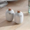 Pair Of Ithaca Salt And Pepper Shakers -Modern Living Shop SPCE04 portrait 1 65329.1638483633