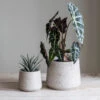 Set Of 2 Stratton Tapered Pots - Stone