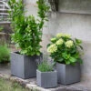 Set Of 3 Siddington Planters -Modern Living Shop STPL01 portrait 01 01036.1658476802