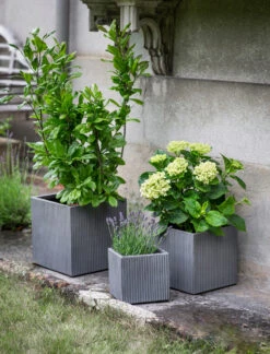 Set Of 3 Siddington Planters