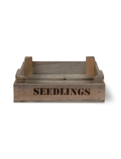 Seedlings Tray 12 Seedlings Tray -Modern Living Shop STWO01 portrait 8 48402.1656664332