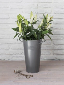 Florist Bucket - Large