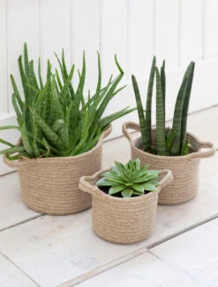 Set Of 3 Woven Plant Pots
