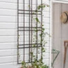 Charlbury Wall Trellis - 60cm -Modern Living Shop WTST02 portrait 1 86012.1647444965