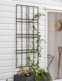 Charlbury Wall Trellis - 60cm